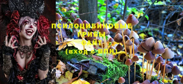 круглые Козловка