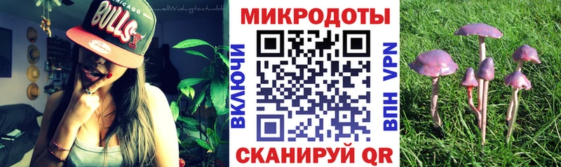 Купить где  Звенигород  Галлюциногенные грибы MAGIC MUSHROOMS 